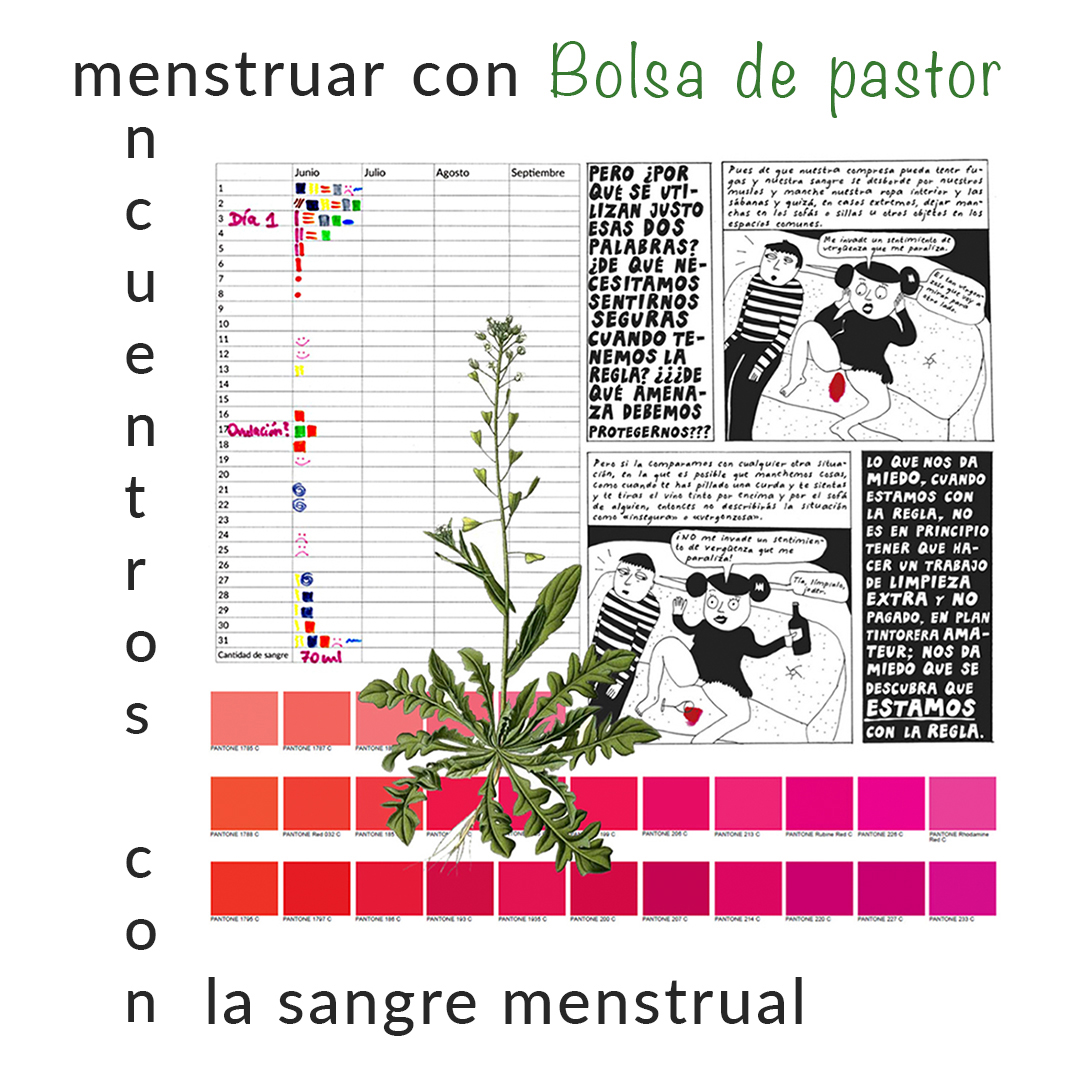 bolsa-pastor2.jpg